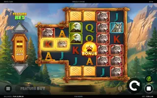 Grizzly Chase – Base game