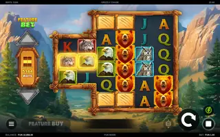 Grizzly Chase – Feature in play