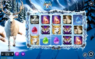 Wild Reindeers – Base game