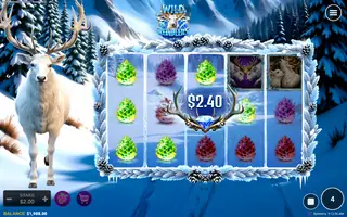 Wild Reindeers – Winning spin