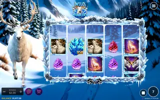 Wild Reindeers – Feature in play