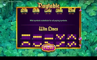 Well of Wishes – Paytable