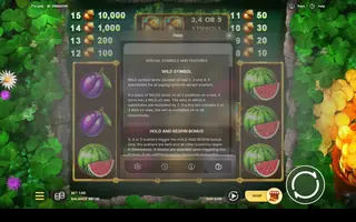 7’s Luck – Game rules