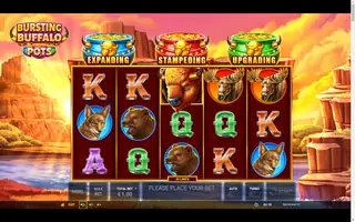Bursting Buffalo Pots – Base game