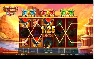 Bursting Buffalo Pots – Winning spin