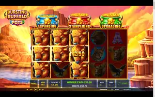 Bursting Buffalo Pots – Winning spin