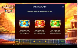 Bursting Buffalo Pots – Game rules