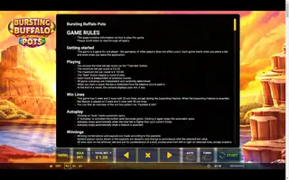 Bursting Buffalo Pots – Game rules