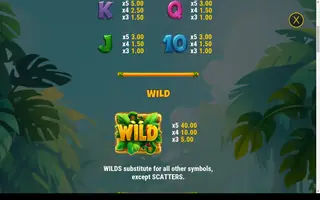 Banana Rush – Paytable