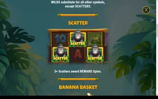 Banana Rush – Game rules