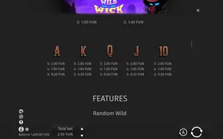 Wild Wick – Game rules