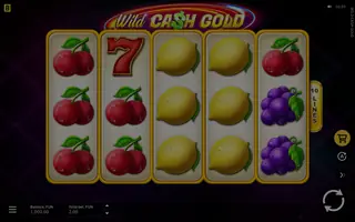 Wild Cash Gold – Base game