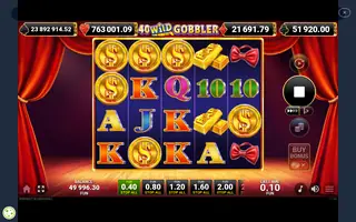 Wild Fortune – Winning spin