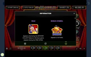 Wild Fortune – Game rules