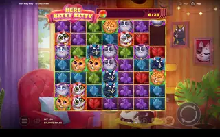 Here Kitty Kitty – Feature in play