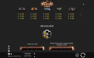 Big Bucks Saloon – Game rules