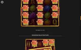 Royal Crown 777 – Game rules