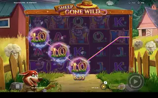 Sheep Gone Wild – Winning spin