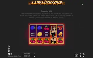 Lady Lucky Gun – Game rules