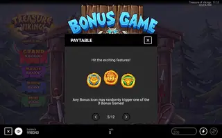 Treasure of Vikings: Hold & Win – Game rules
