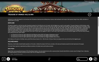 Treasure of Vikings: Hold & Win – Game rules