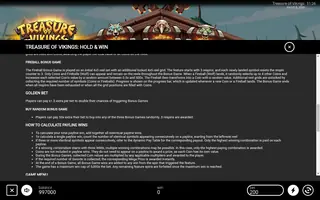 Treasure of Vikings: Hold & Win – Game rules