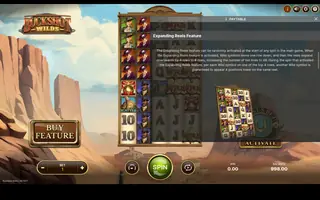Buckshot Wilds – Game rules