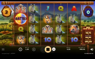 Serengeti Kings – Feature in play