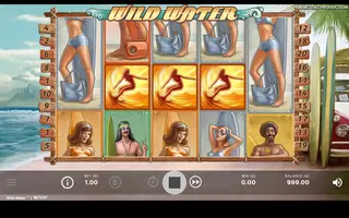 Wild Water – Base game