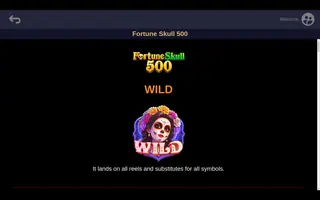 Fortune Skull 500 – Game rules