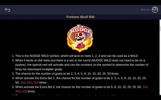 Fortune Skull 500 – Game rules