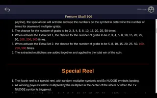 Fortune Skull 500 – Game rules