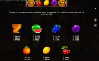 Golden Fruit Coins – Paytable