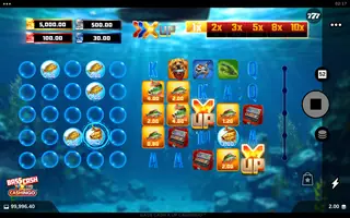 Bass Cash X UP CASHINGO – Winning spin