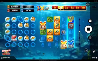 Bass Cash X UP CASHINGO – Winning spin