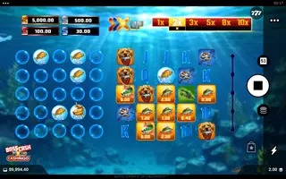 Bass Cash X UP CASHINGO – Feature in play