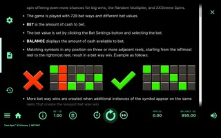 Twin Spin XXXtreme – Game rules