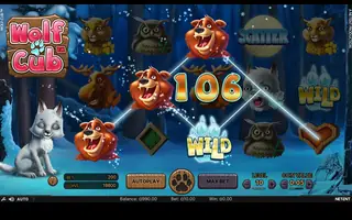 Wolf Cub – Winning spin