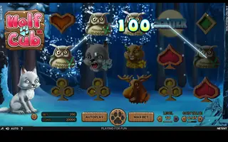 Wolf Cub – Winning spin