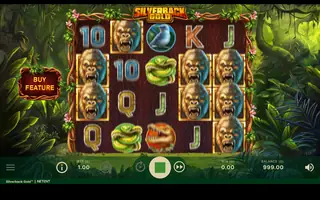 Silverback Gold – Feature in play