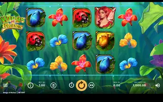 Wings of Riches – Base game