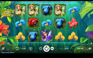 Wings of Riches – Base game