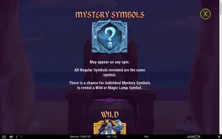 1001 Mystery Genie Fortunes – Game rules
