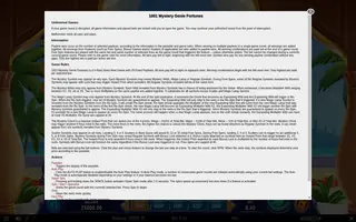 1001 Mystery Genie Fortunes – Game rules