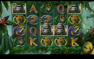 Gorilla Kingdom – Base game