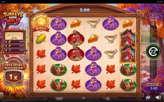 Turkeys Gone Wild – Winning spin