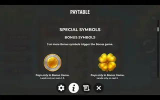 Patrick’s Luck: Hold The Spin – Paytable