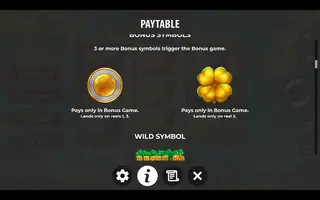 Patrick’s Luck: Hold The Spin – Paytable