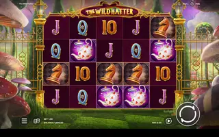 The Wild Hatter – Base game
