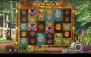 Big Cat Rescue Megaways – Base game
